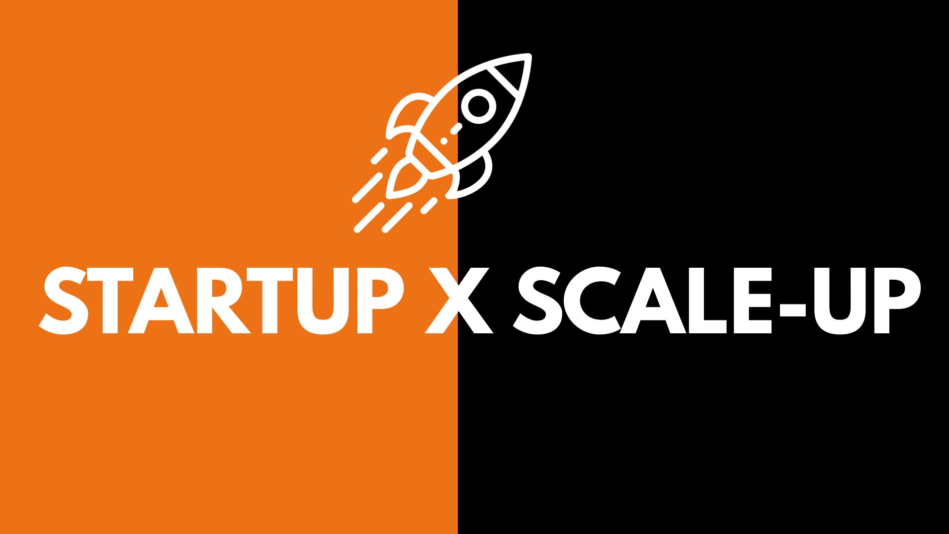 diferença entre startup e scale-up