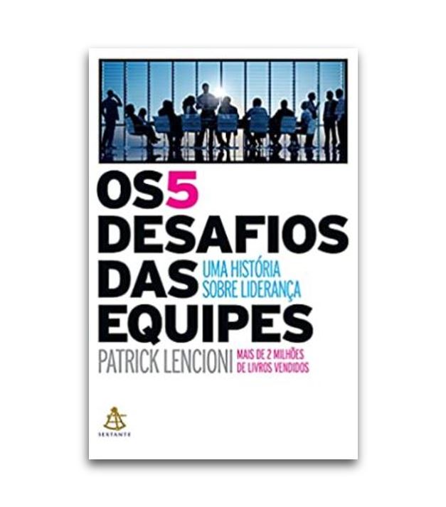 livro 5 desafios das equipes