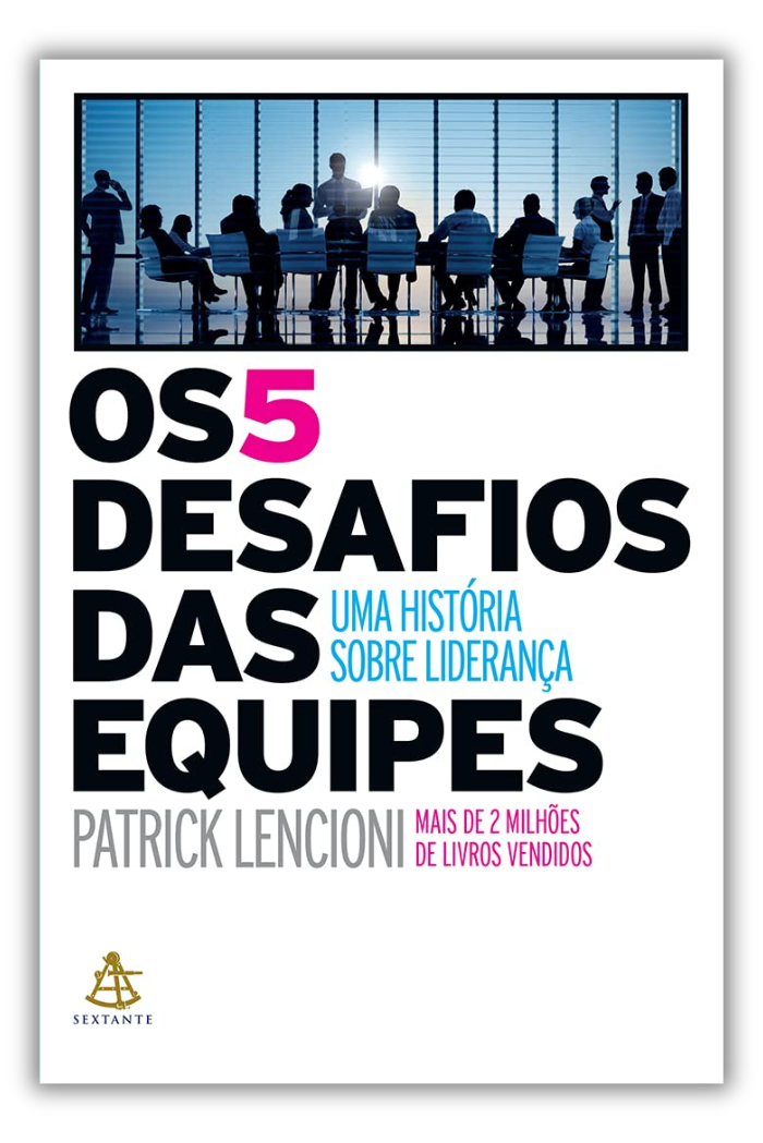 livro 5 desafios das equipes
